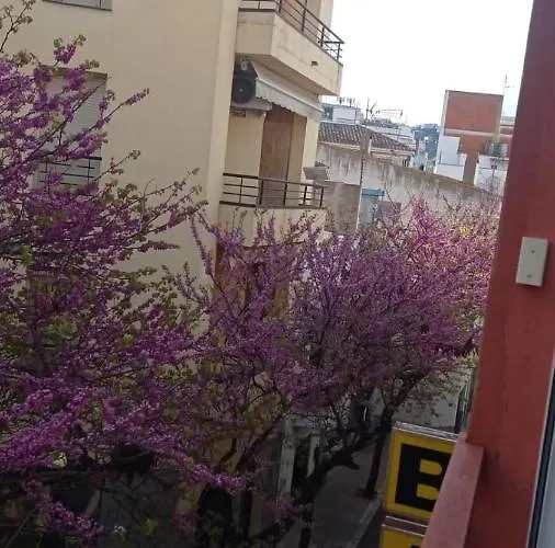 A Centre Appartement Roses